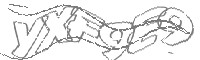 Check code